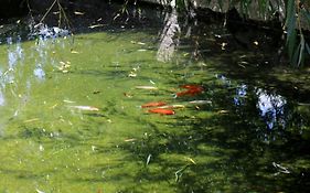Casa Da Eira